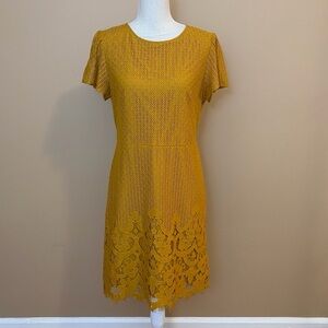 LOFT Outlet Mustard Yellow Lace Overlay Short Sleeve Dress Medium
